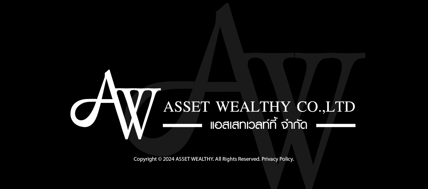 Asset 10